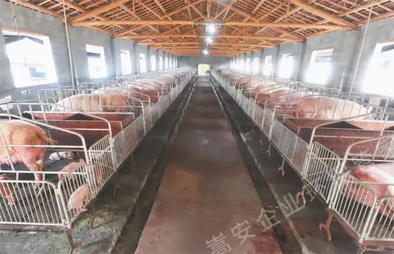 生物除臭剂