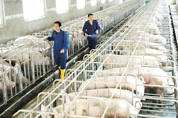 养殖场臭气扰民，终被立案处罚