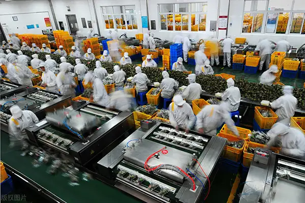 食品加工厂的恶臭气体怎么去除?