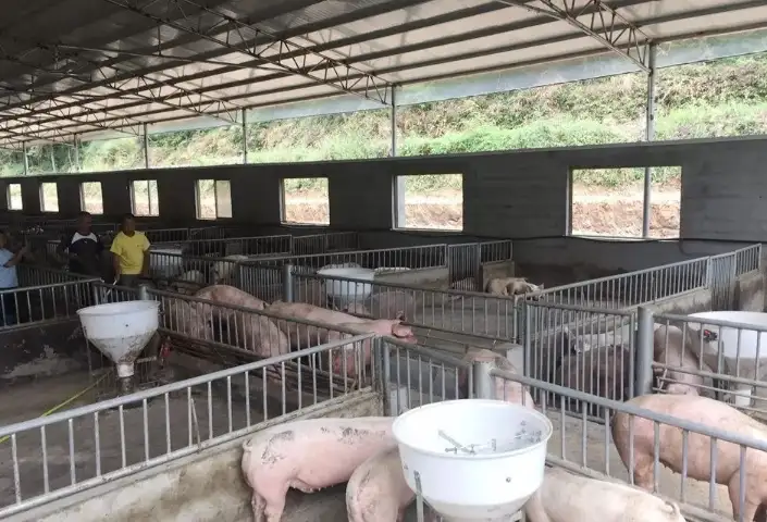 养殖场臭气严重，终被责令拆除