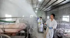 臭味弥漫遭投诉？别慌，生物除臭剂来了！