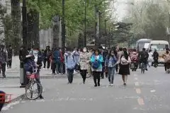 生物扬尘抑制剂治理杨柳飞絮