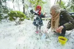 柳絮、杨絮漫天飞怎么办？新型扬尘抑制剂来了!