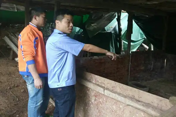 养殖场一般都怎么除臭？看看这家养殖场怎么做