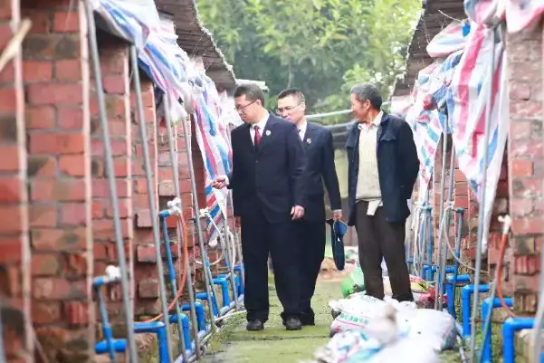被罚5万！沧州某养殖场因臭气问题被环保部门作出处罚