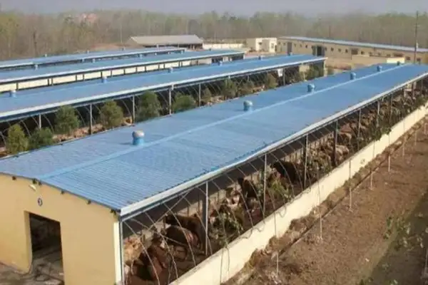 养殖场臭气不治理，环保部门找上门就麻烦了，生物除臭剂来帮您