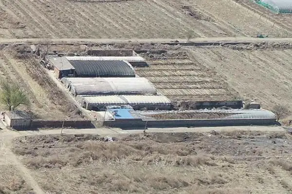 使用生物除臭剂治理养猪场臭气案例