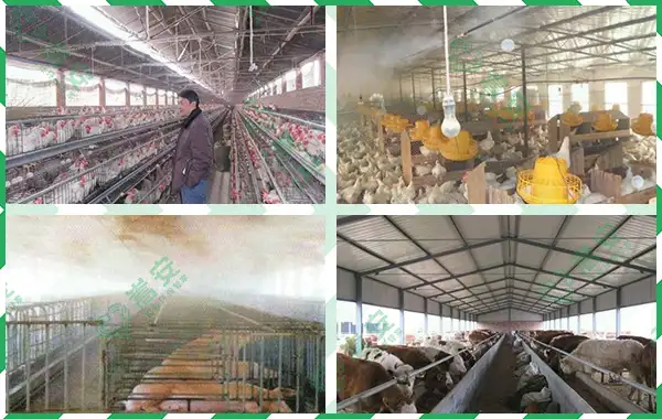 环保政策再加强 多家养殖场被迫拆除
