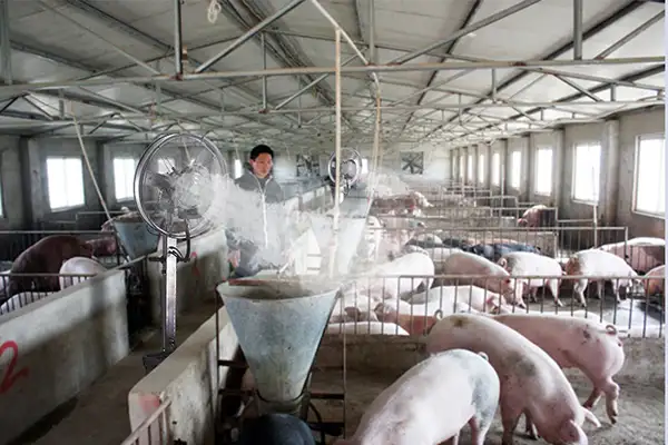 养殖场究竟如何解决除臭问题呢?生物除臭剂效果怎么样?