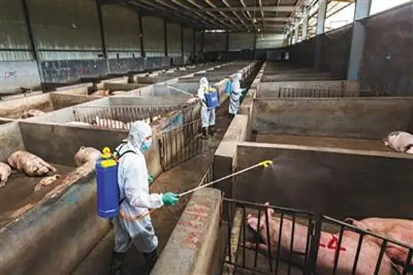 养殖场臭气扰民怎么办？使用生物除臭剂除臭