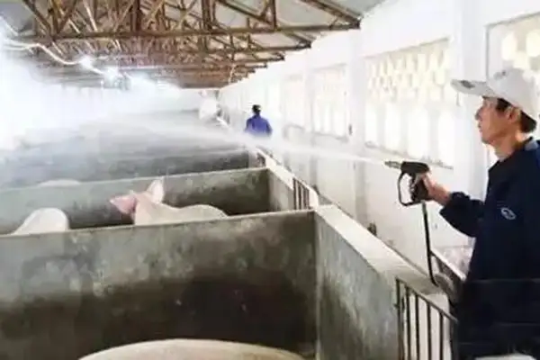 炎热夏季，养殖场该怎么除臭?