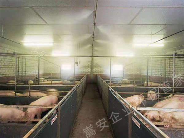 养殖场如何除臭可以降低禽畜患病风险，生物除臭剂效果不错