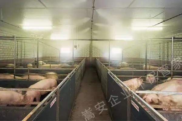 养殖场除臭有没有什么好的办法?如何避免被处罚?